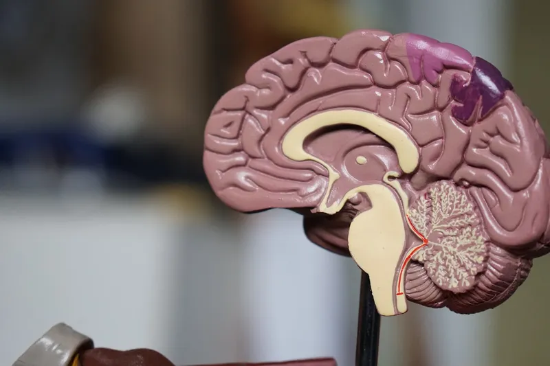 Precision health toward biological immortality