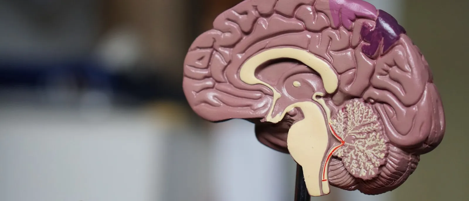Precision health toward biological immortality